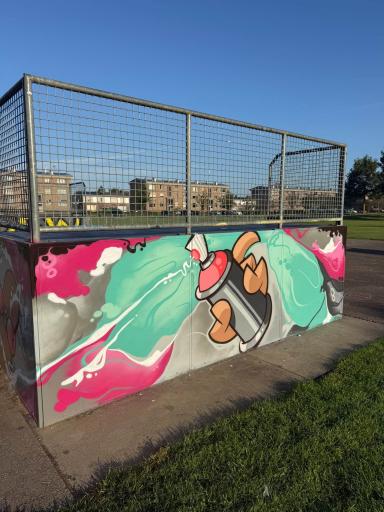 Foto 1 van 5 bij het verslag van Graffiti op skatebaan park Rosendael