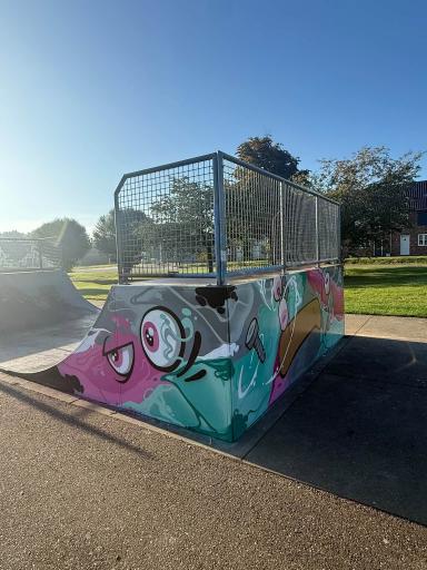 Foto 3 van 5 bij het verslag van Graffiti op skatebaan park Rosendael