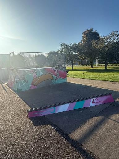 Foto 4 van 5 bij het verslag van Graffiti op skatebaan park Rosendael